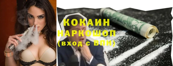 хмурый Арсеньев