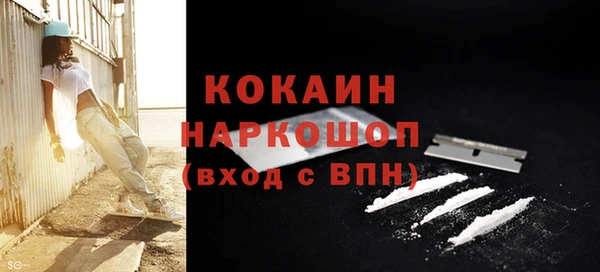 хмурый Арсеньев