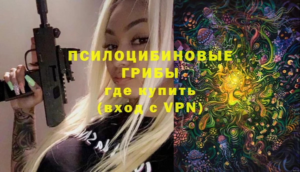 хмурый Арсеньев