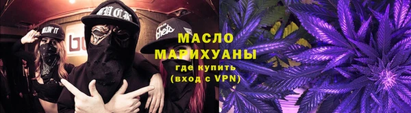 хмурый Арсеньев
